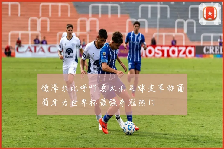 德泽尔比呼吁意大利足球变革称葡萄牙为世界杯最强夺冠热门